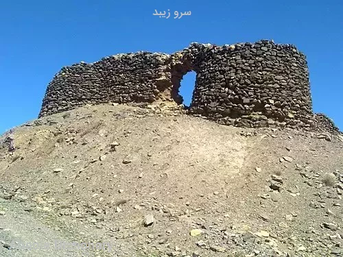 سرو زیبد